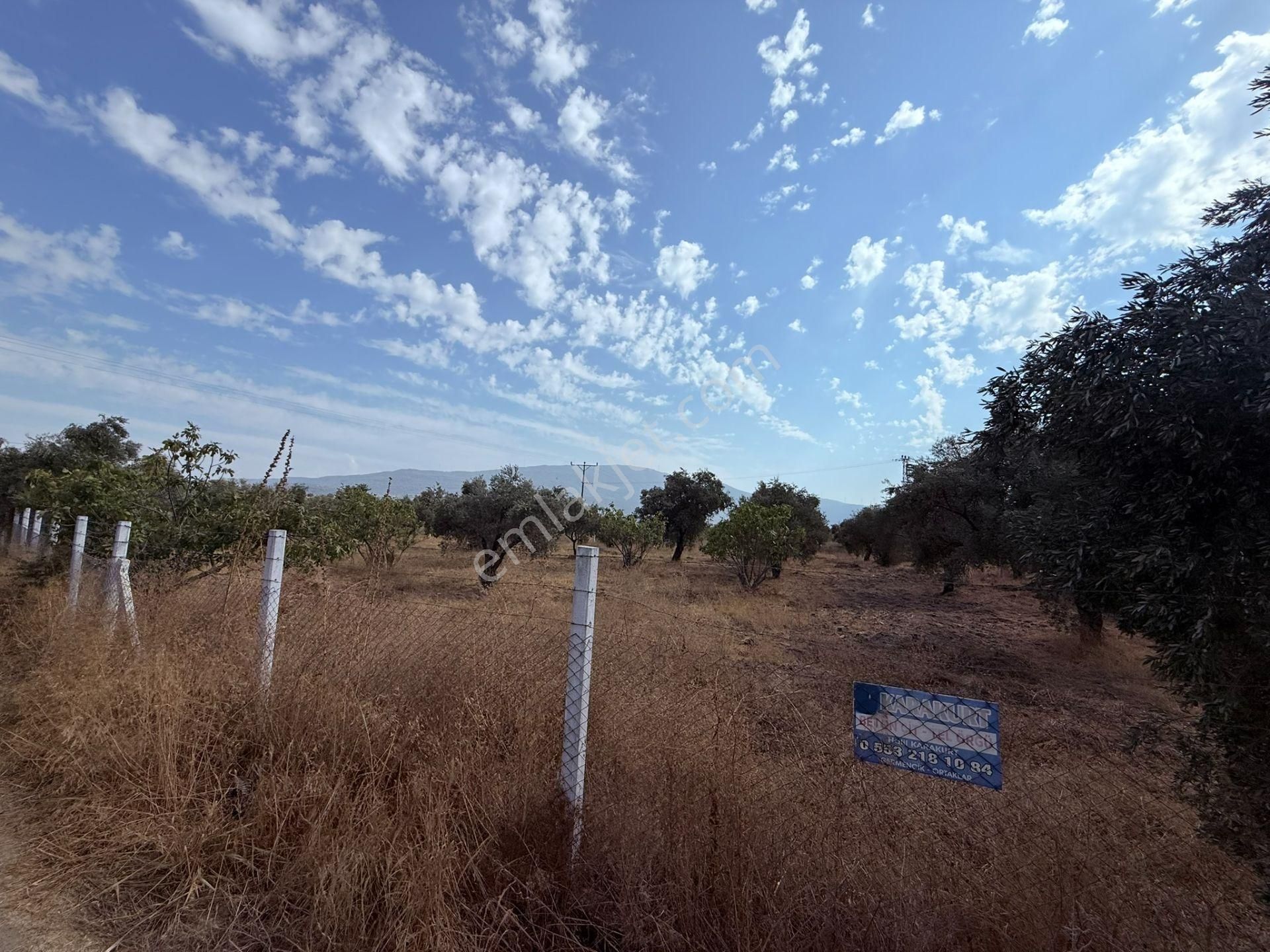 Asfalt Kadastro Yoluna Sıfır Ana Yola 100 Metre Satılık Müstakil Tapulu Zeytin Ve İncir Bahçesi - Görsel 2