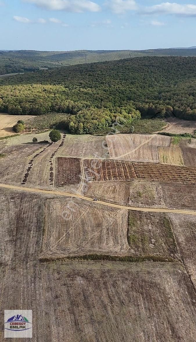 Cebesoy Emlak'tan Karamanlar Mahallesinde Fırsat Arazi - Görsel 4