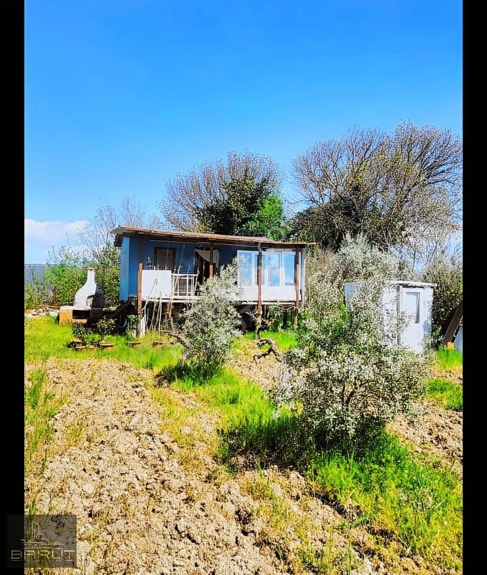 Muğla Yeşilyurt'ta Doğa İle Yaşam