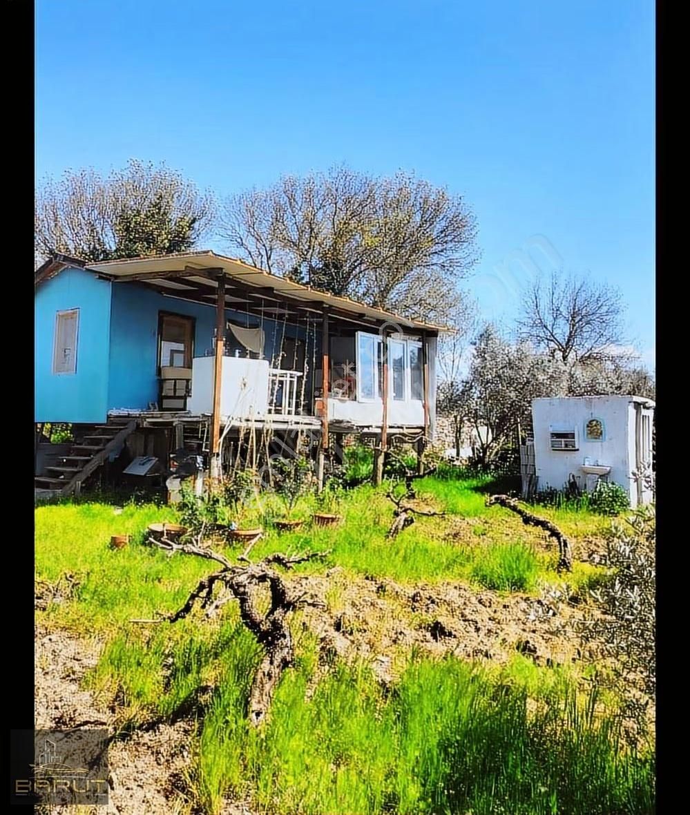 Muğla Yeşilyurt'ta Doğa İle Yaşam - Görsel 5