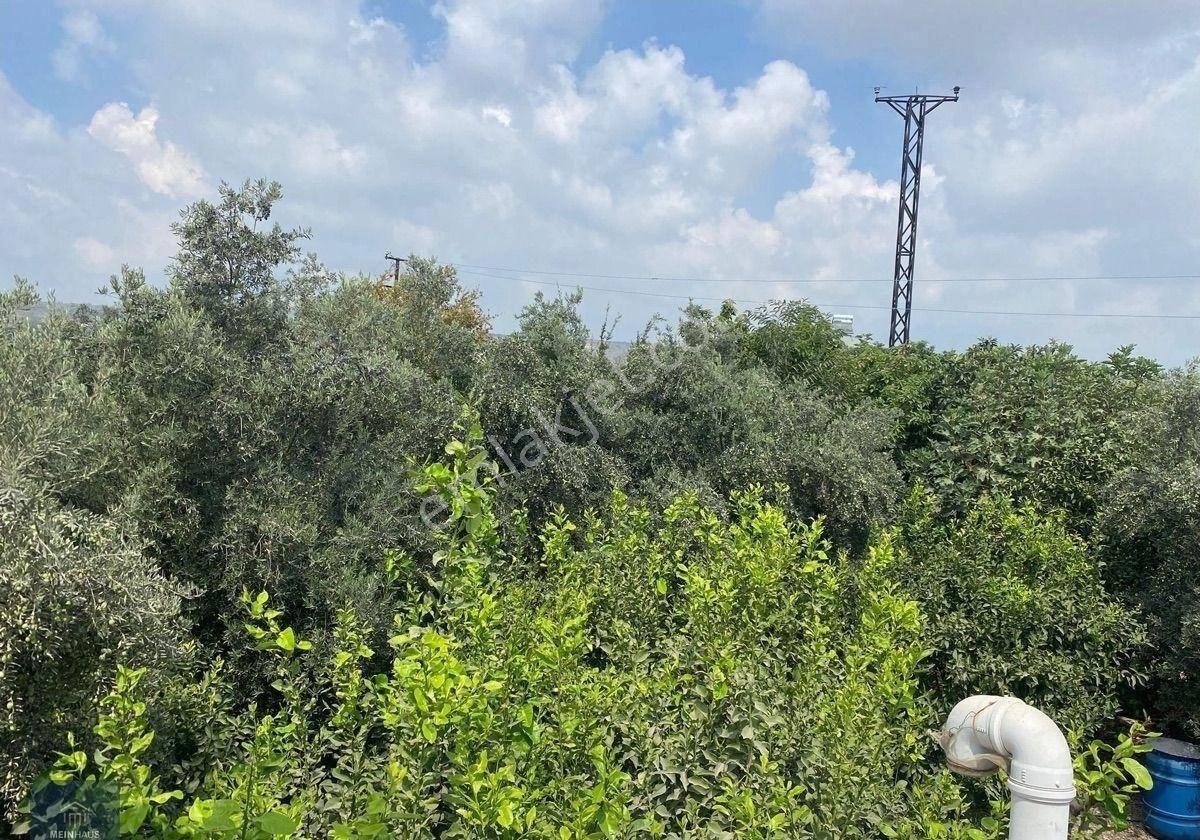 Erdemli Barboros Mahallesi Müstakil Satılık Ev - Görsel 7