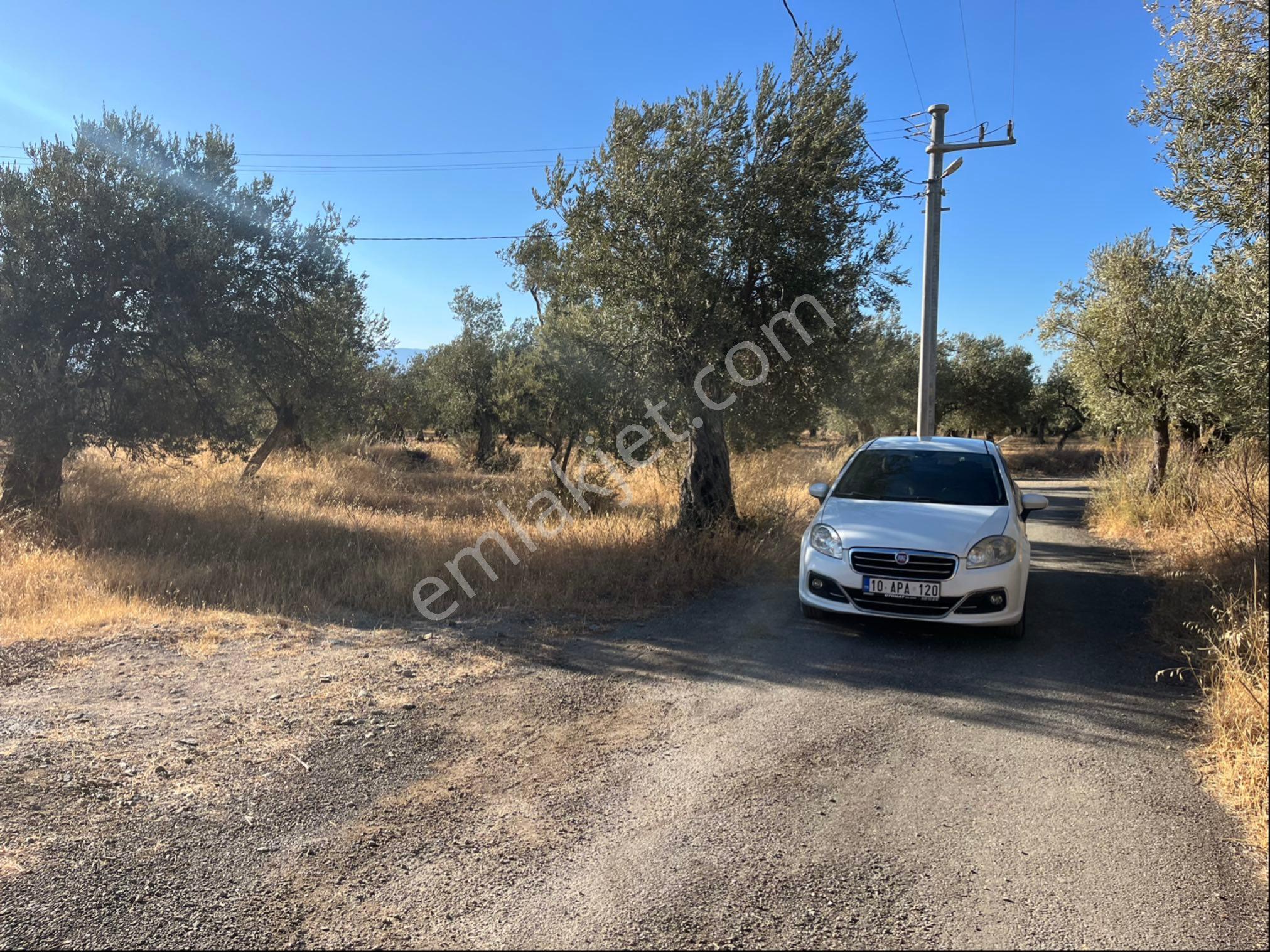 Güre Sahilinde 650 Metrekare Satılık İmarlı Arsa - Görsel 9