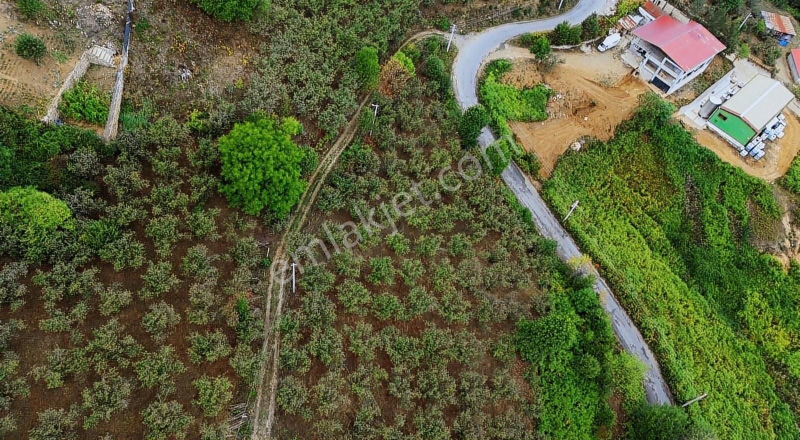 Yön Group'tan Ahmedıye'de Muhteşem Manzaralı Arsa - Görsel 9