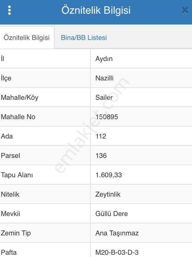 Sailer'de Satılık 5400m² Zeytinlik - 52 Ağaçlı, Müstakil Tapulu - Görsel 10