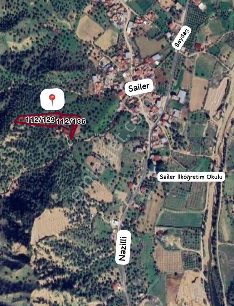 Sailer'de Satılık 5400m² Zeytinlik - 52 Ağaçlı, Müstakil Tapulu - Görsel 9