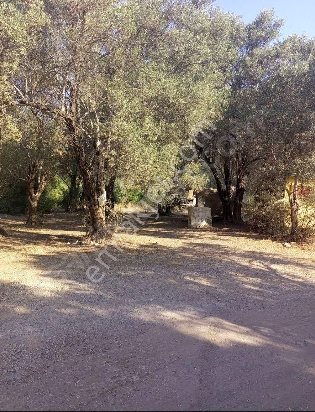 Goldhouse Dan Satılık Gemiler Koyunda Hisseli Arsa 475m2 - Görsel 5