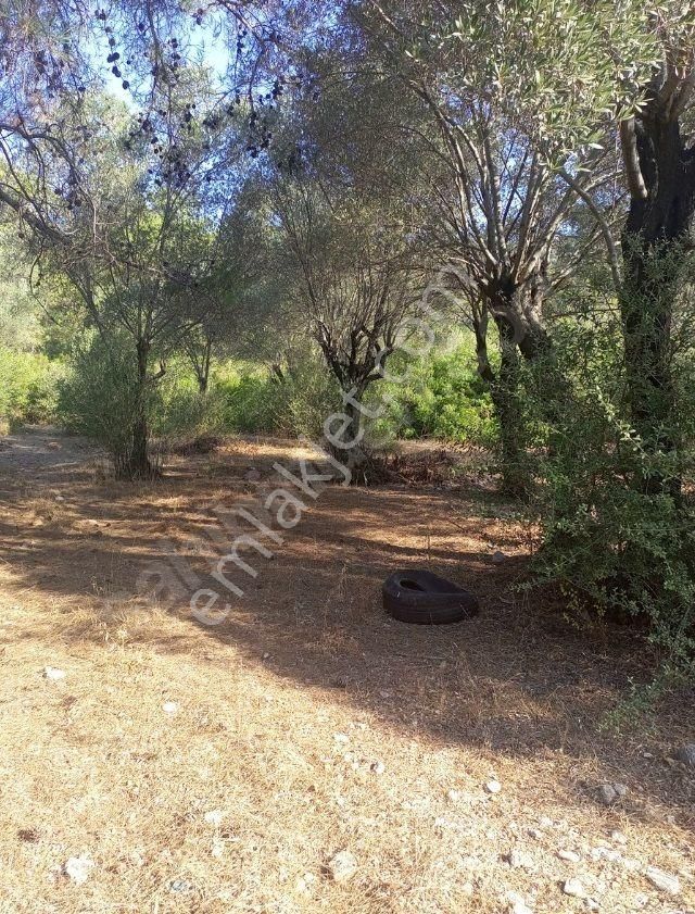 Goldhouse Dan Satılık Gemiler Koyunda Hisseli Arsa 475m2 - Görsel 9
