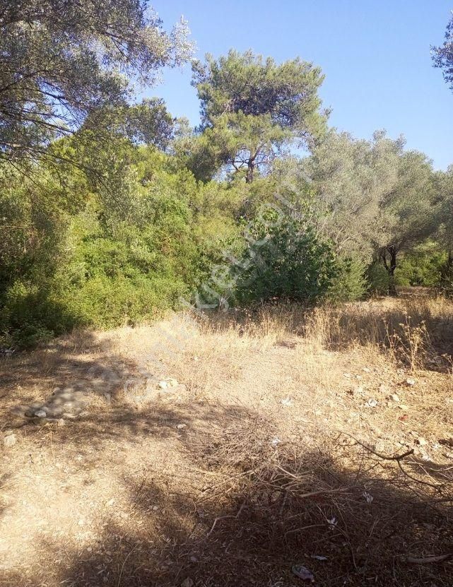 Goldhouse Dan Satılık Gemiler Koyunda Hisseli Arsa 475m2 - Görsel 16