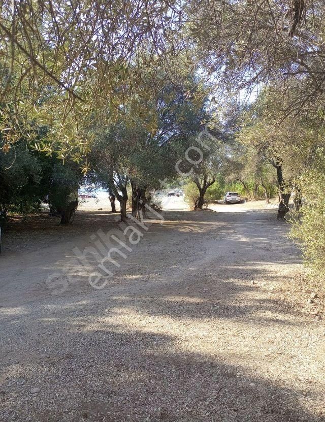 Goldhouse Dan Satılık Gemiler Koyunda Hisseli Arsa 475m2 - Görsel 10