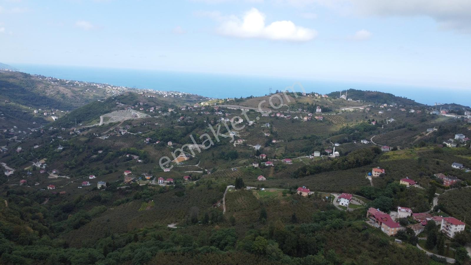 Trabzon,ortahisar,karakaya'da Satılık Tek Tapu 3 Dönüm Arazi(açıklamayı Okuyunuz) - Görsel 11
