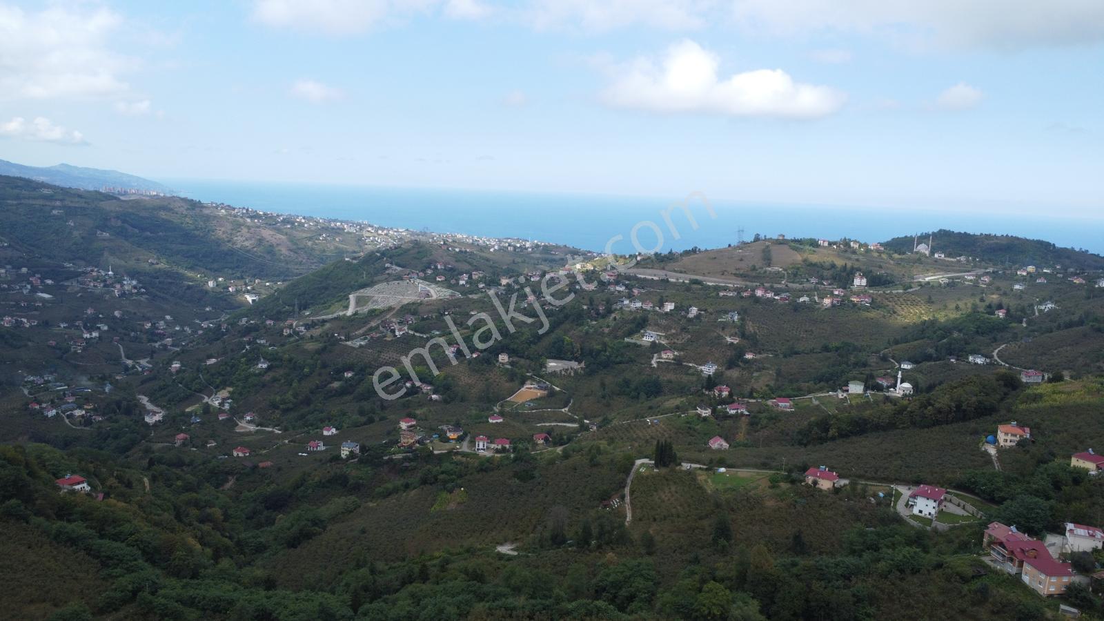Trabzon,ortahisar,karakaya'da Satılık Tek Tapu 3 Dönüm Arazi(açıklamayı Okuyunuz) - Görsel 16