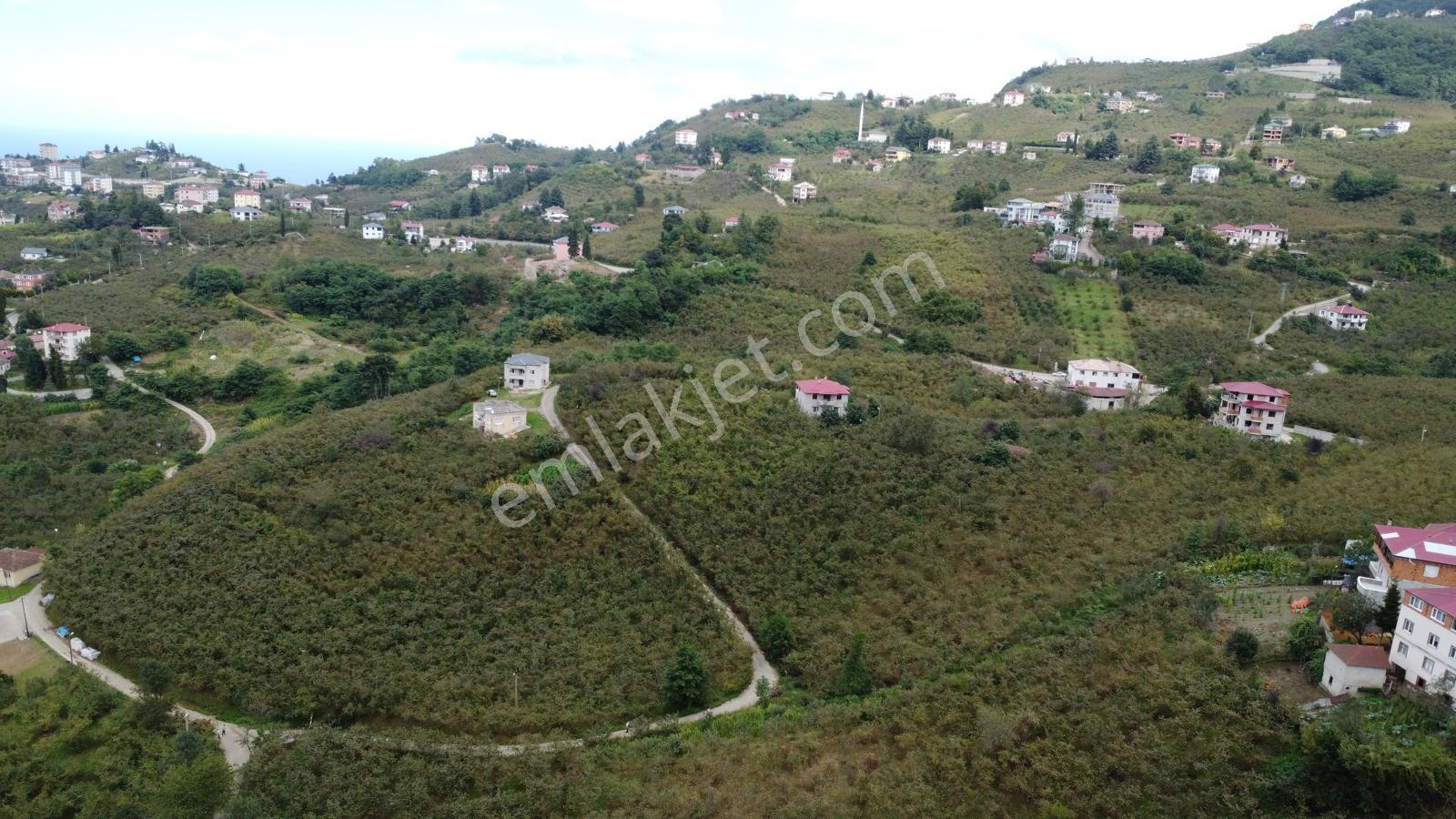 Trabzon,ortahisar,karakaya'da Satılık Tek Tapu 3 Dönüm Arazi(açıklamayı Okuyunuz) - Görsel 23