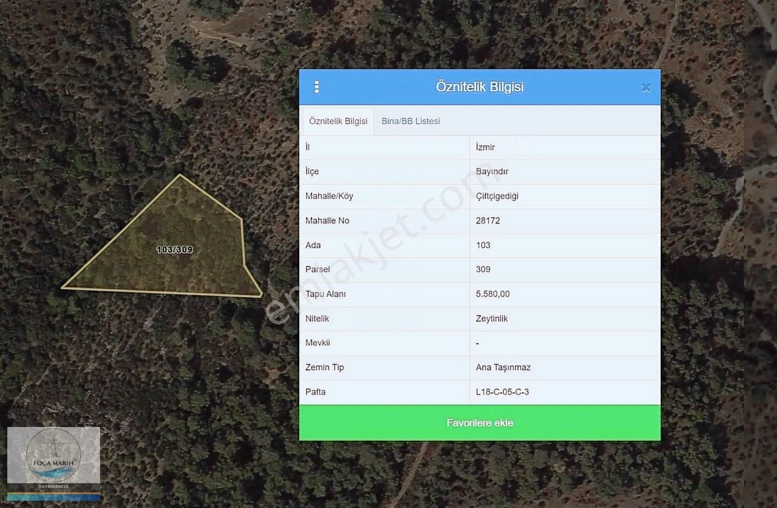 İzmir-bayındır Çiftçigediği'nde 5.580 M2 Satılık Zeytinlik - Görsel 2