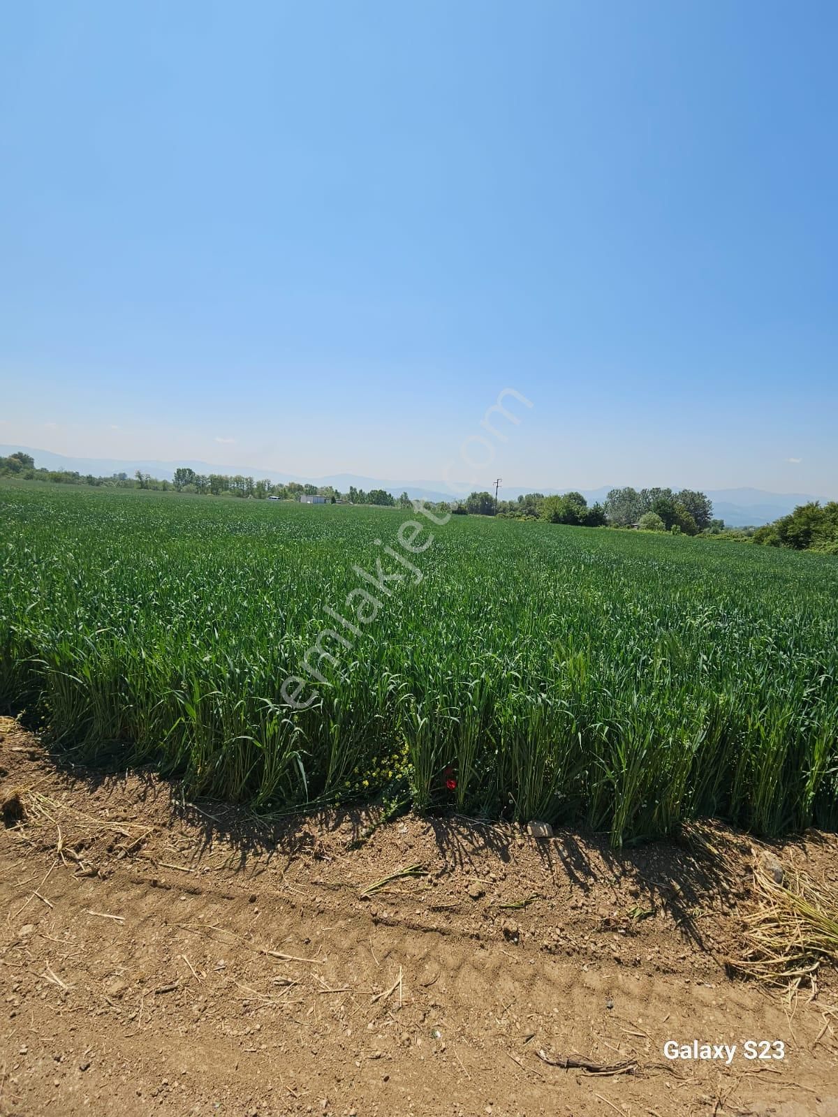 Akbaşlar Emlak & Gayrimenkul Güvencesiyle – Satılık Tarla - Görsel 4