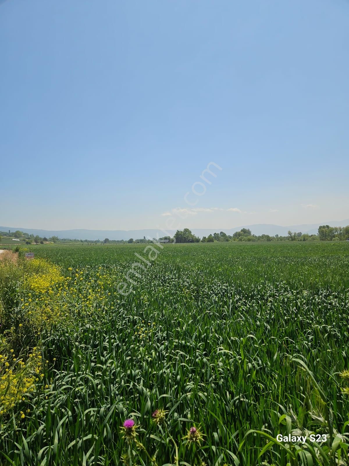 Akbaşlar Emlak & Gayrimenkul Güvencesiyle – Satılık Tarla - Görsel 5