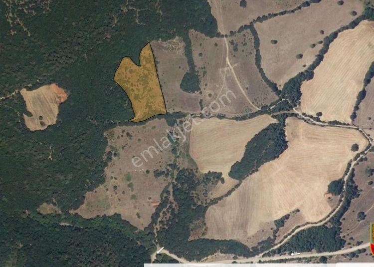 Çanakkale Biga' Da 9.145 M2 Yatırımlık Arazi - Görsel 2