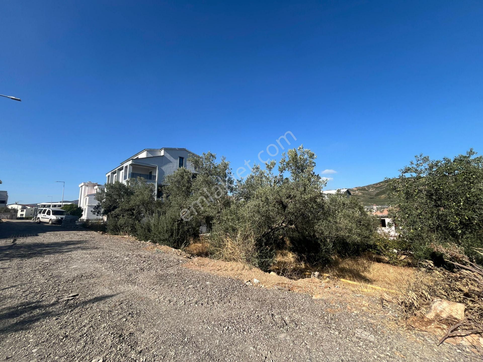 C21 Cius; Umurbey'de 588 M2 Konut İmarlı Satılık Arsa - Görsel 7