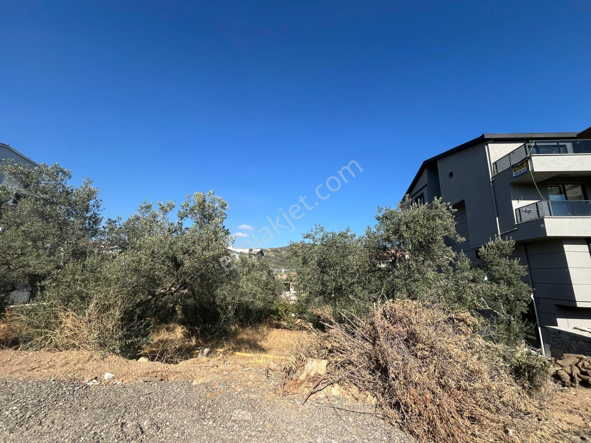 C21 Cius; Umurbey'de 588 M2 Konut İmarlı Satılık Arsa - Görsel 4