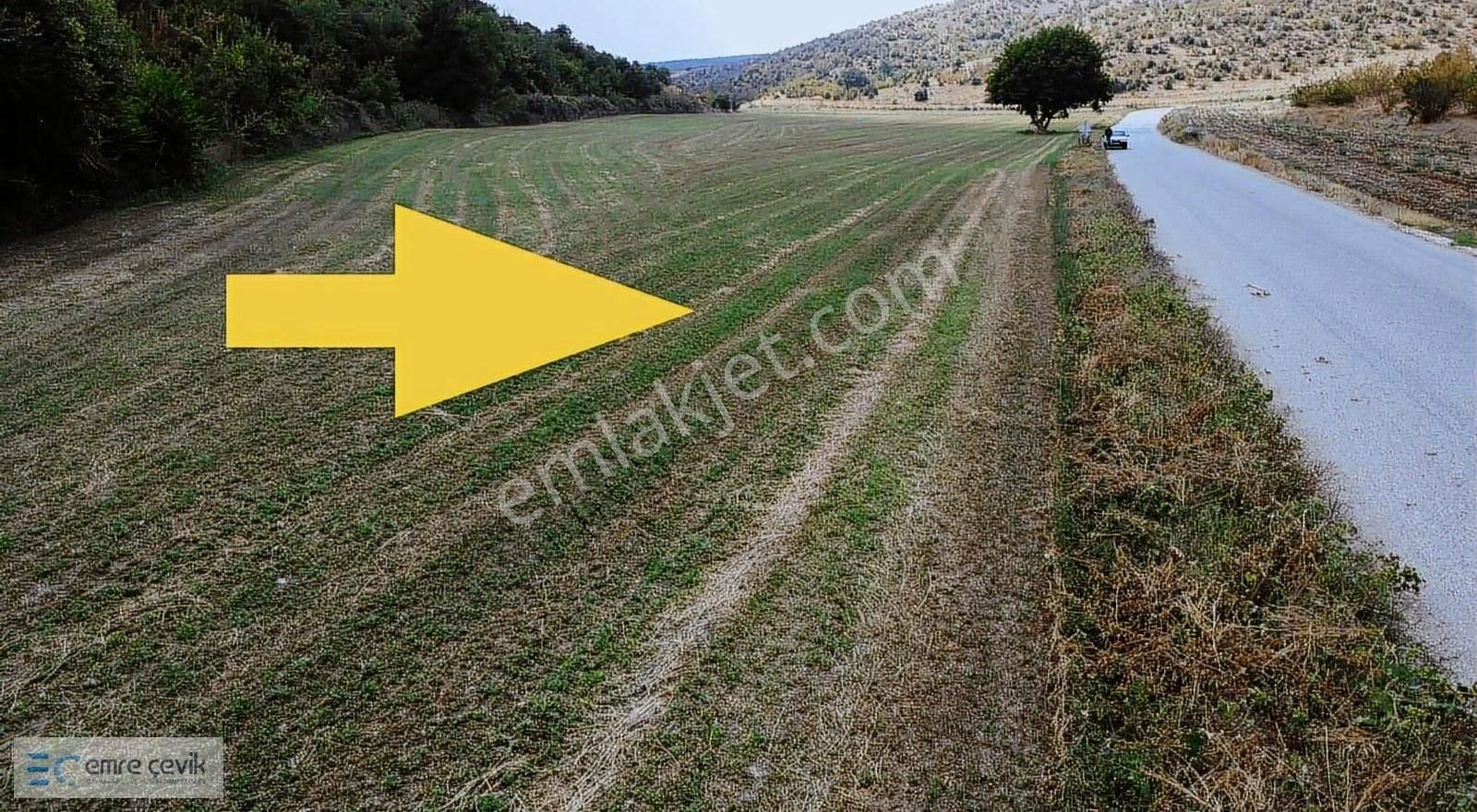 Emre Çevik'den Yenişehir Papatya Asfalt Yola Cephe 2000m2 Tarla - Görsel 4