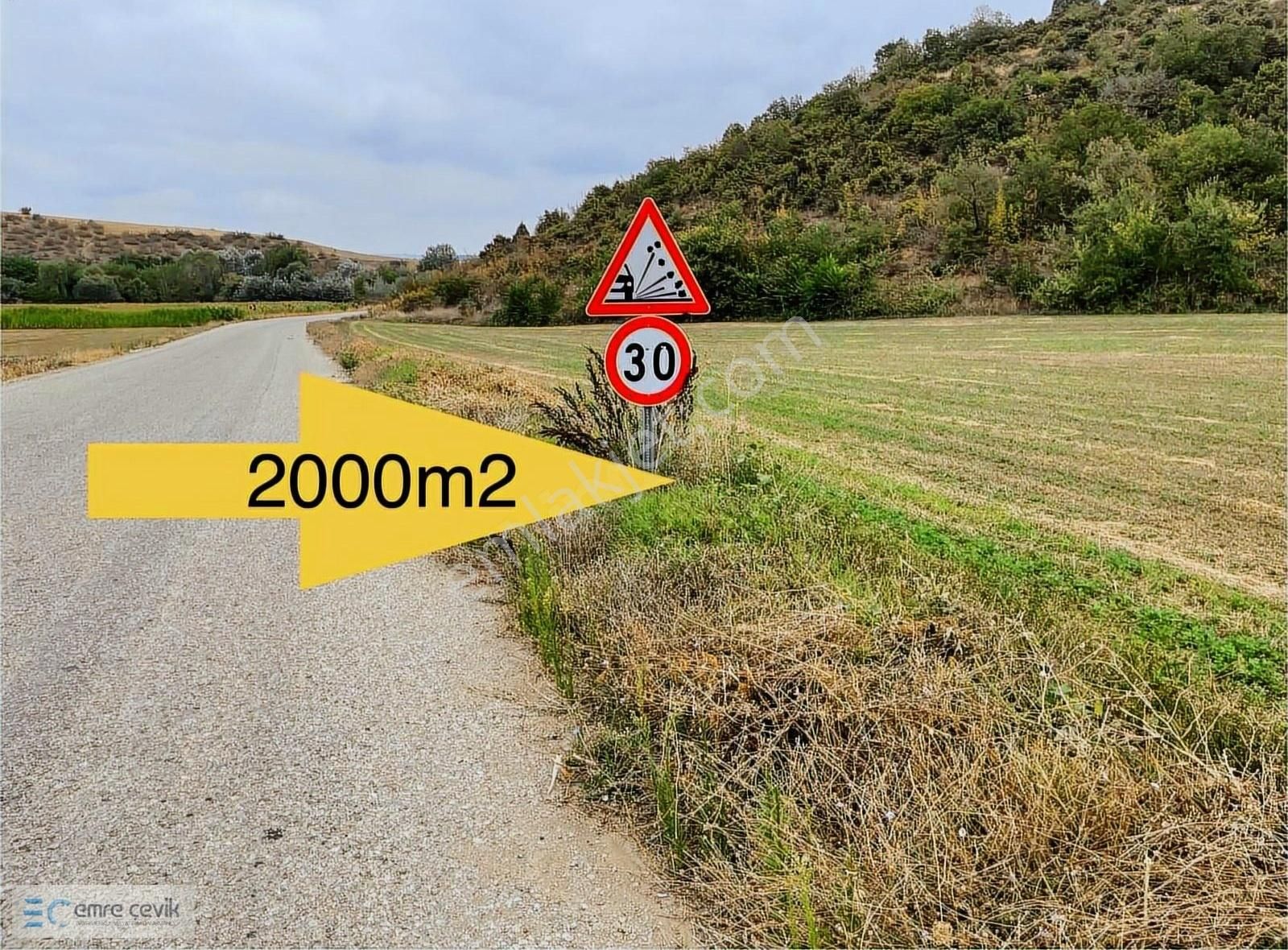Emre Çevik'den Yenişehir Papatya Asfalt Yola Cephe 2000m2 Tarla - Görsel 10