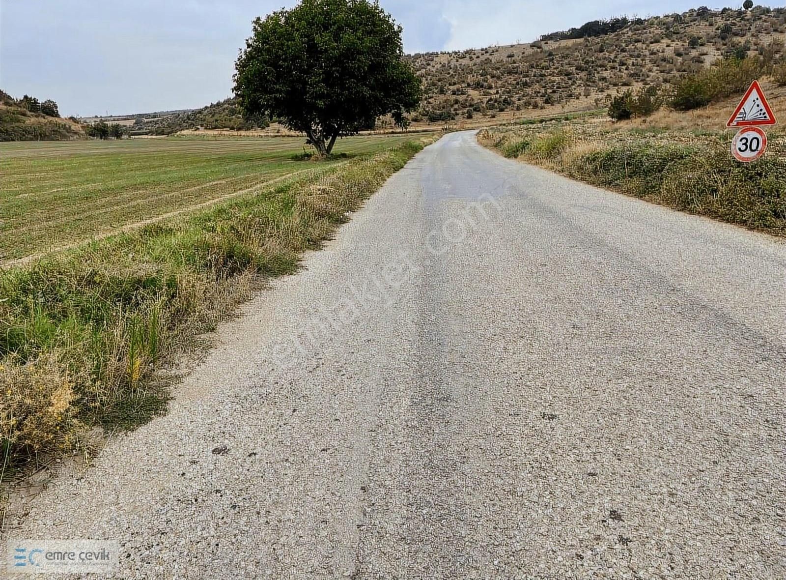 Emre Çevik'den Yenişehir Papatya Asfalt Yola Cephe 2000m2 Tarla - Görsel 12