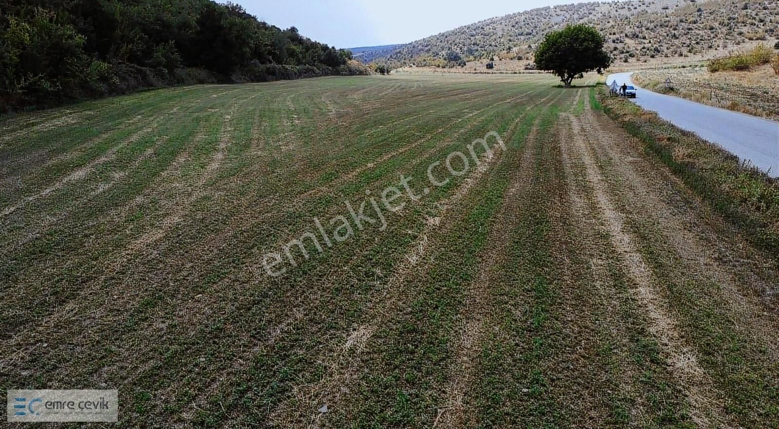 Emre Çevik'den Yenişehir Papatya Asfalt Yola Cephe 2000m2 Tarla - Görsel 15