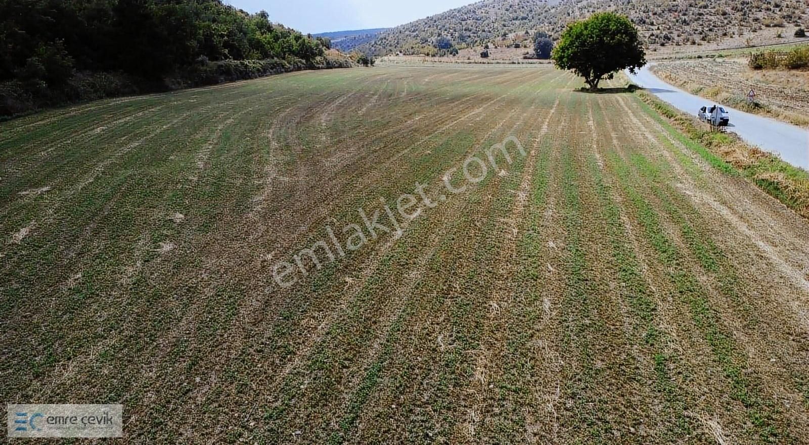 Emre Çevik'den Yenişehir Papatya Asfalt Yola Cephe 2000m2 Tarla - Görsel 2