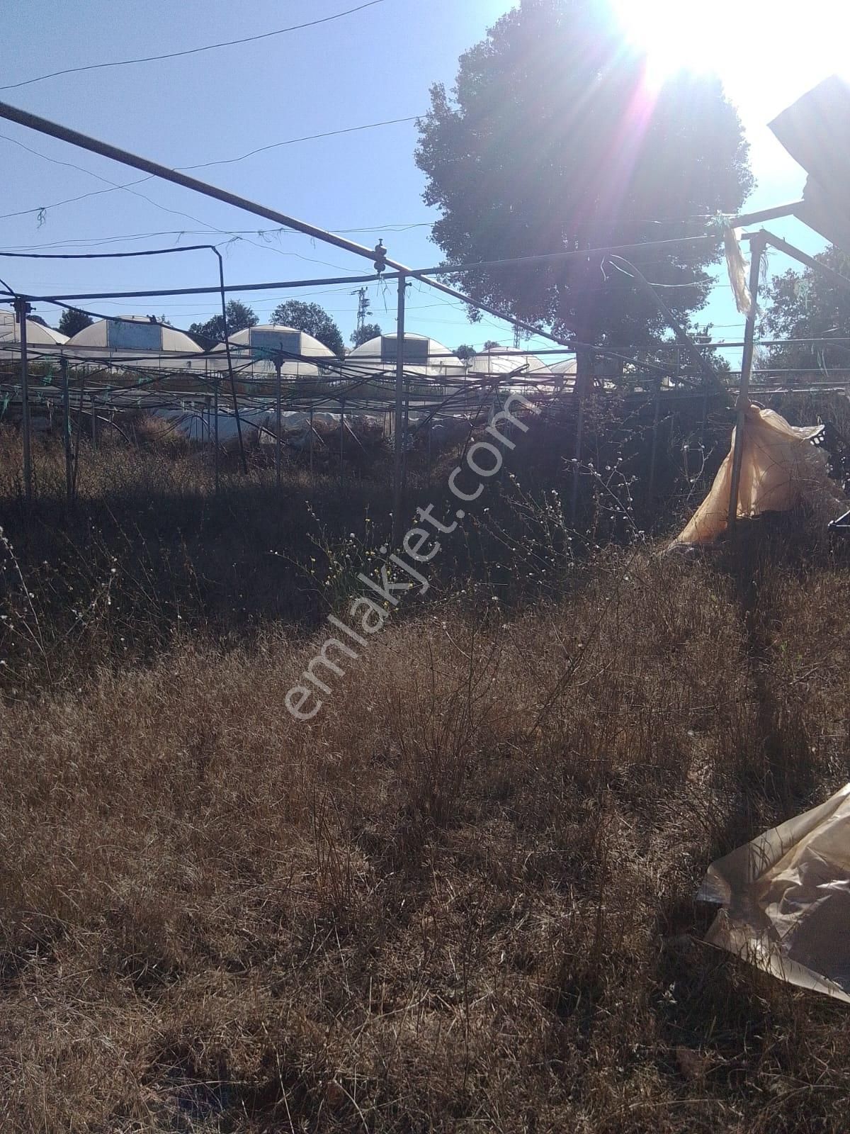 Satılık 3278 M² Tarla Mersin Erdemli Küstüllü - Görsel 6