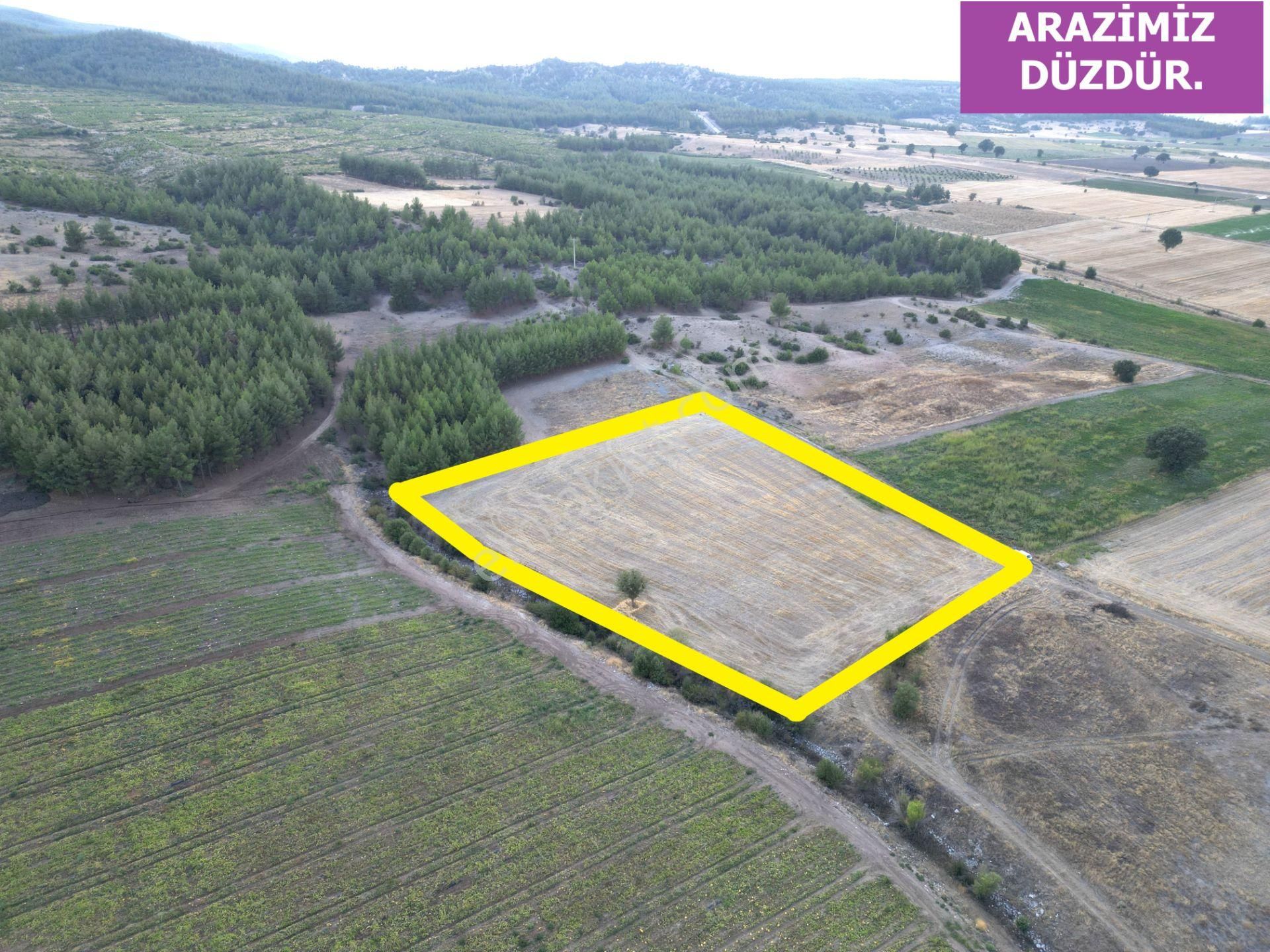 🦋lobby Fortis'ten Satılık Acıpayam Dedebağı'da 7400 M² Arazi🦋 - Görsel 4