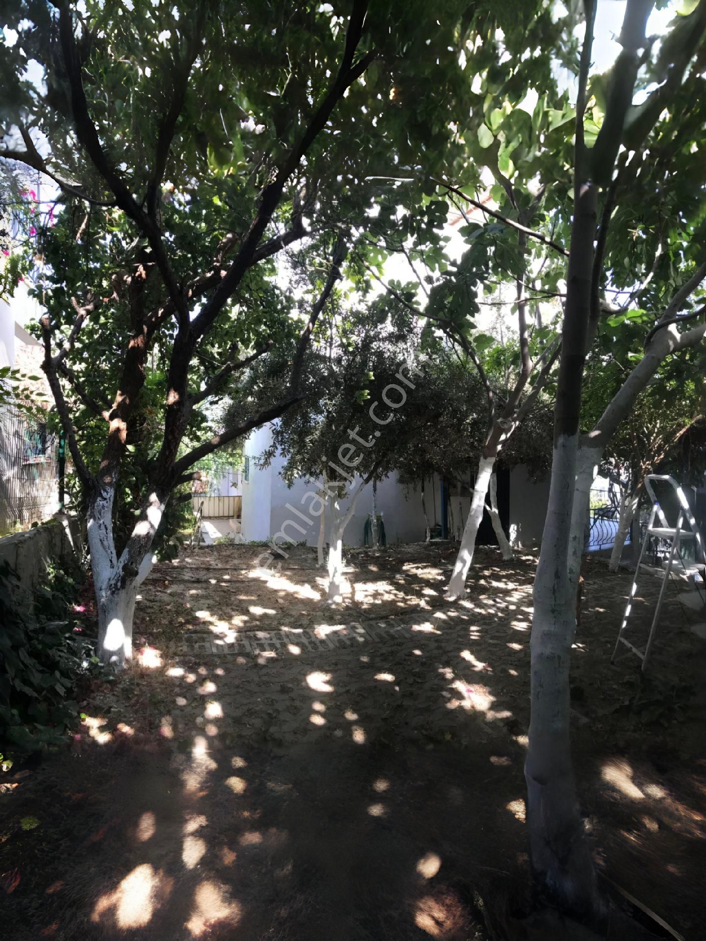 Kuşadası Kadinlardenizin'de Deniz Manzarali Triplex Villa - Görsel 28