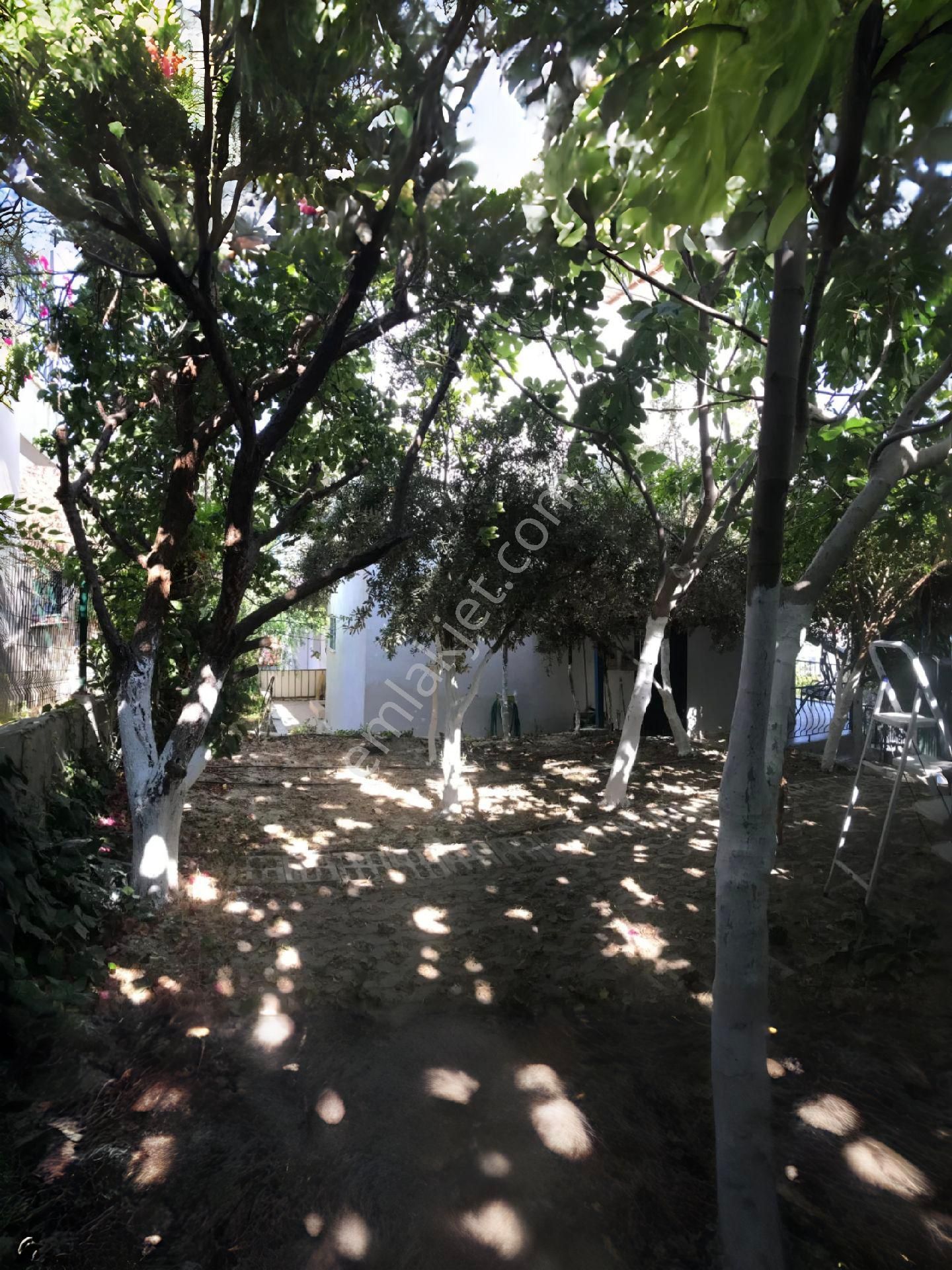 Kuşadası Kadinlardenizin'de Deniz Manzarali Triplex Villa - Görsel 27