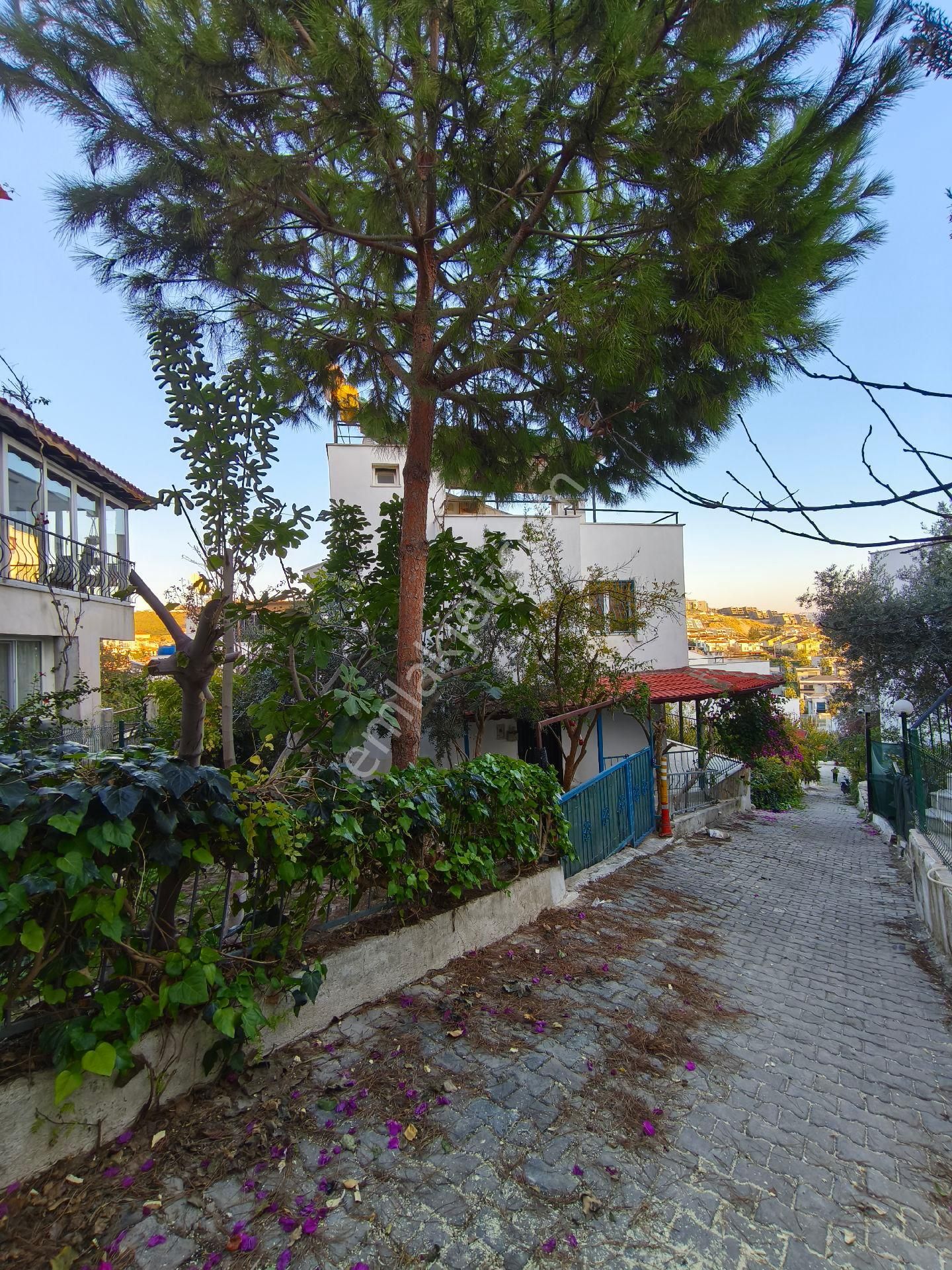 Kuşadası Kadinlardenizin'de Deniz Manzarali Triplex Villa - Görsel 4