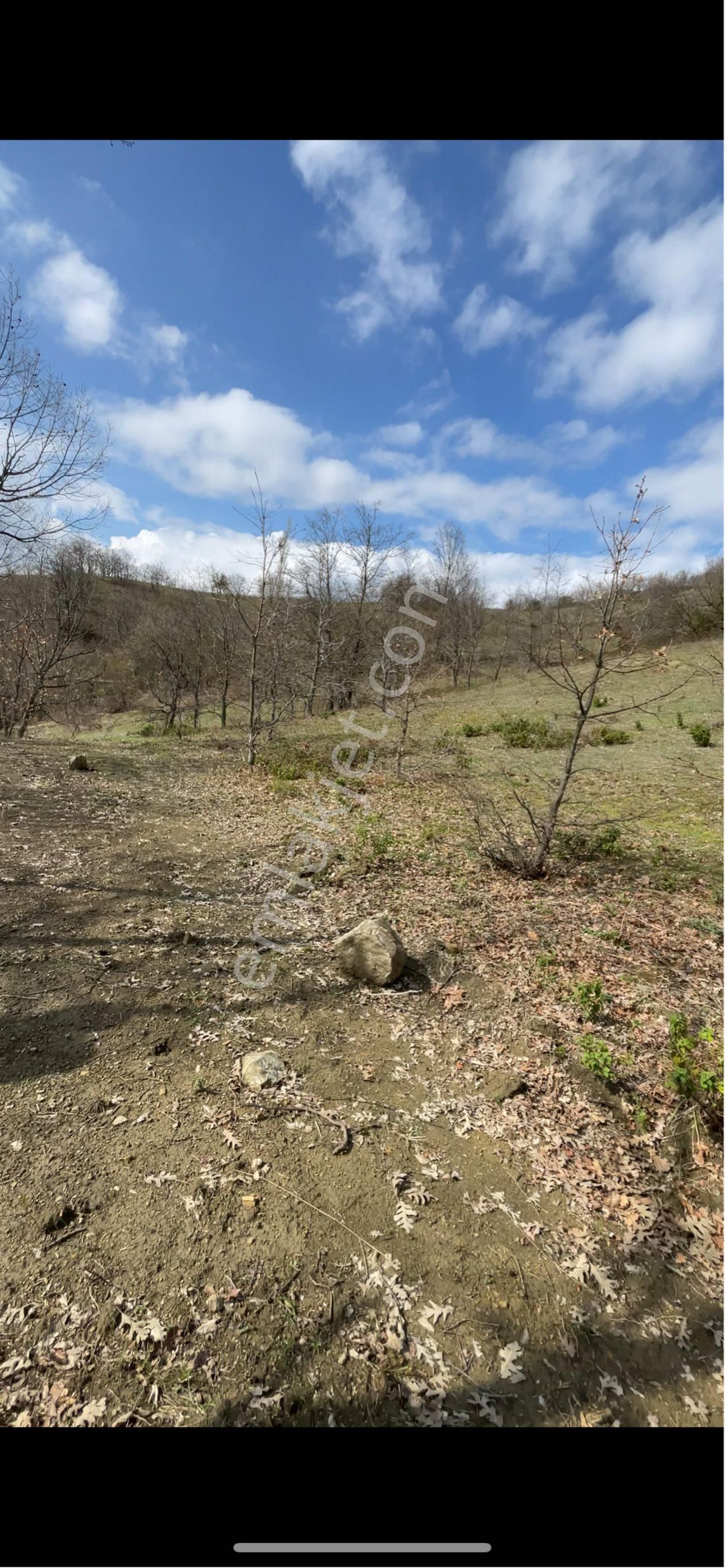 Sahibinden 636 Metre Kare - Görsel 5