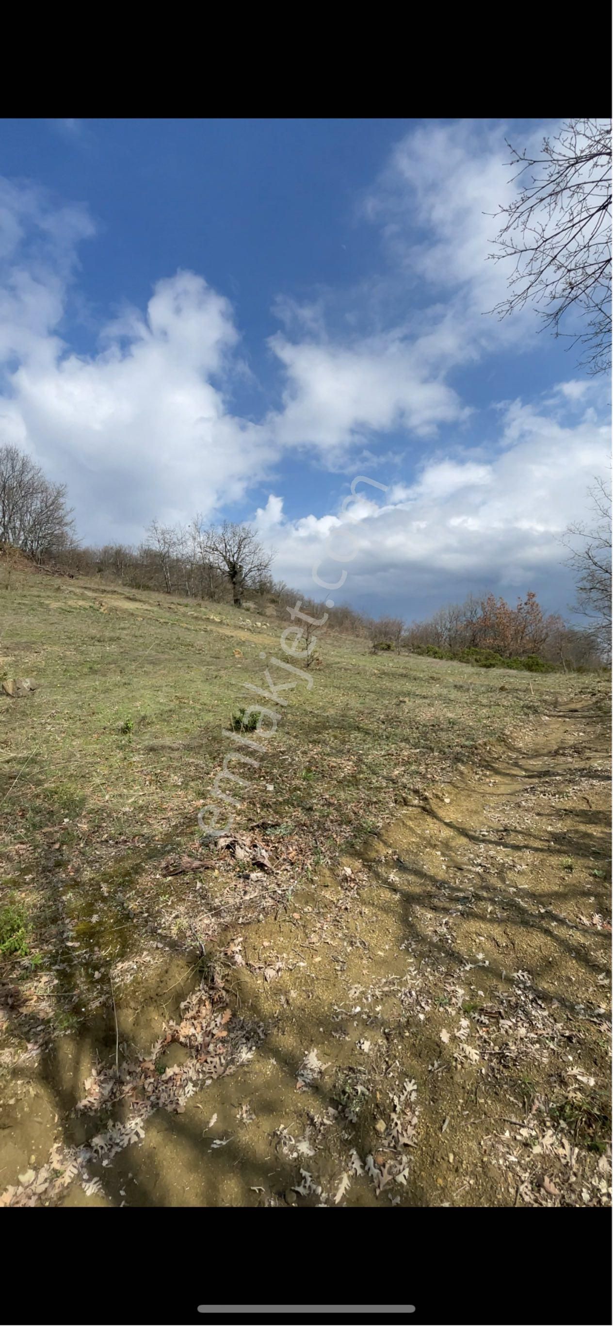 Sahibinden 636 Metre Kare - Görsel 3