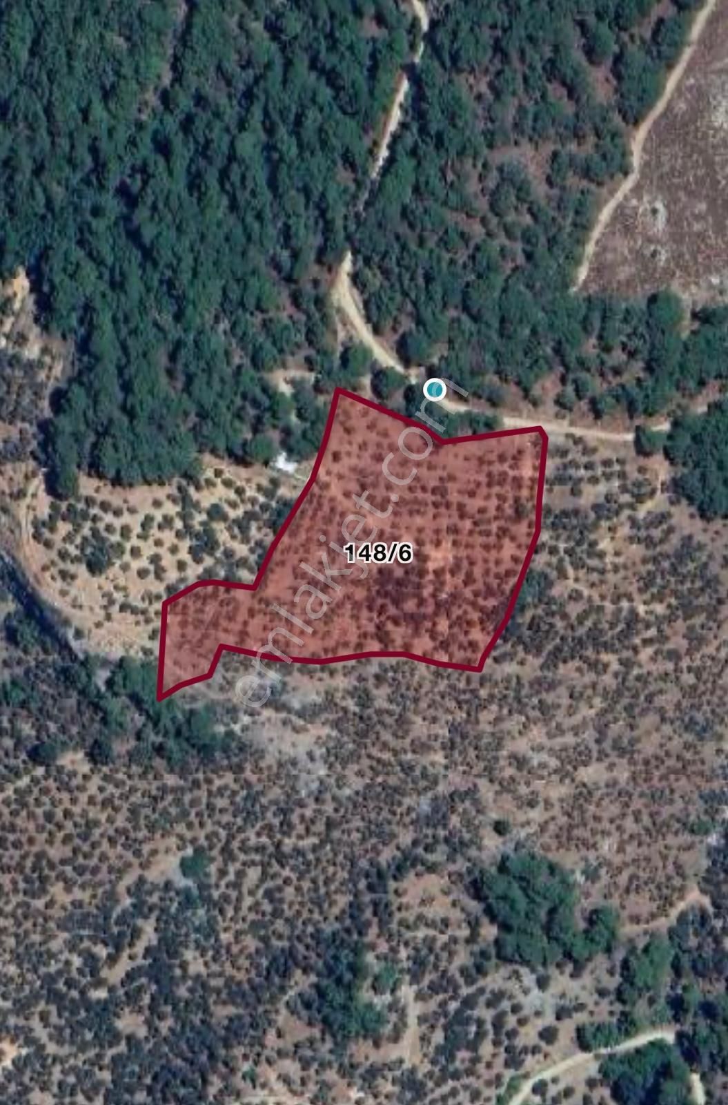 Doyran Köyü’nde Panoramik Deniz Manzaralı Satılık Zeytinlik - Görsel 17