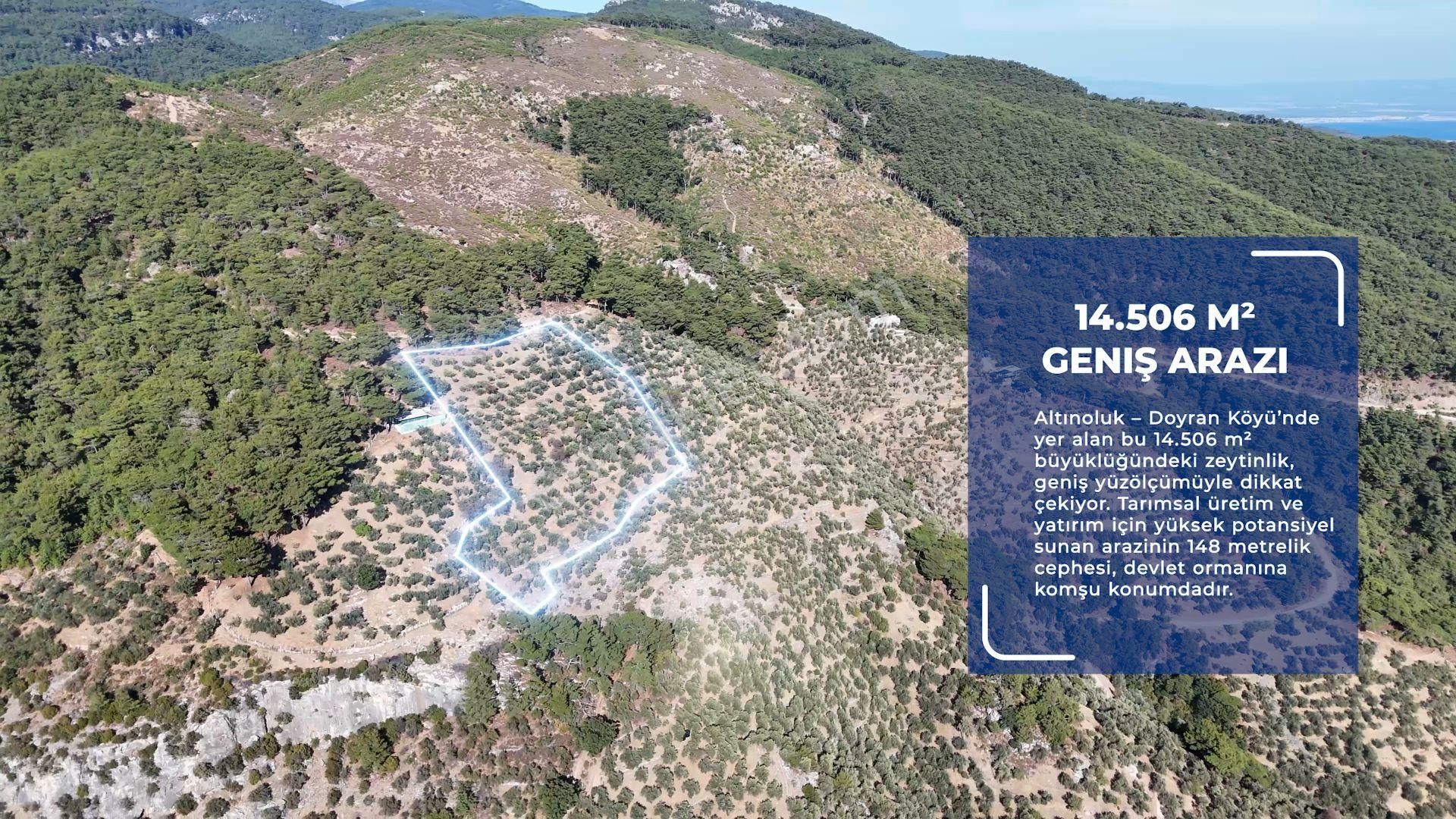 Doyran Köyü’nde Panoramik Deniz Manzaralı Satılık Zeytinlik - Görsel 4