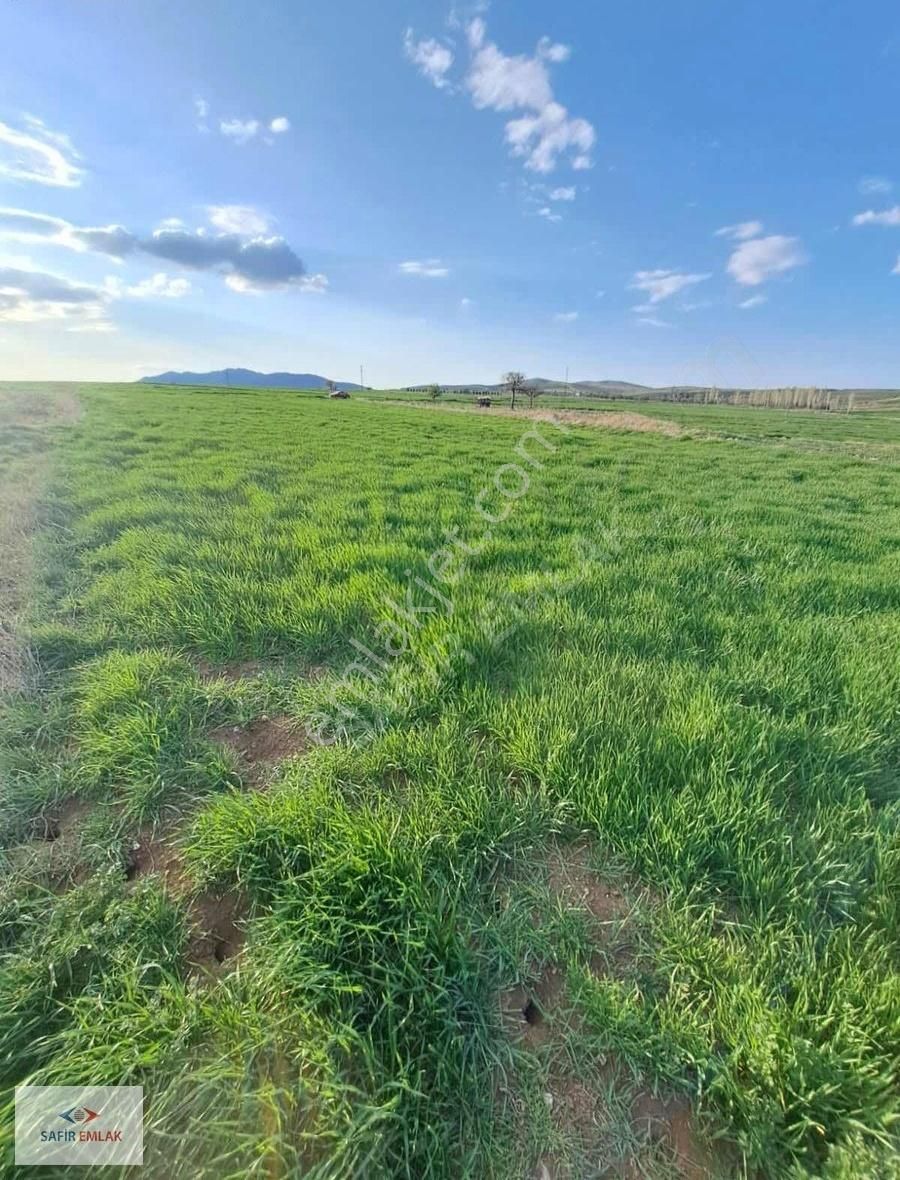 Safir'den Afyon İhsaniye Yiğitpınar'da Satılık Tarla - Görsel 11