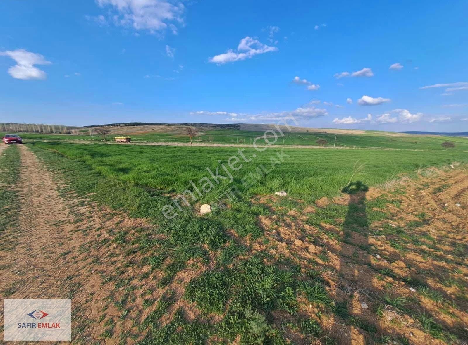 Safir'den Afyon İhsaniye Yiğitpınar'da Satılık Tarla - Görsel 8