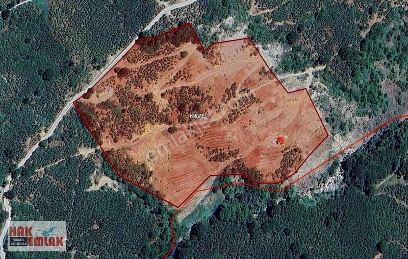 Hak Emlaktan Sakarya Akyazı Taşyatak Mah. Satılık 56.740m² Bahçe