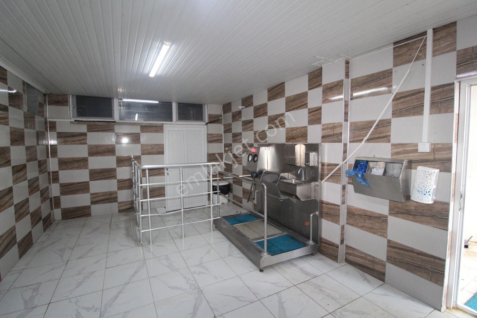 Bigadiç'de Satılık Süt Üretim Tesisi+benzinlik+fabrika - Görsel 19