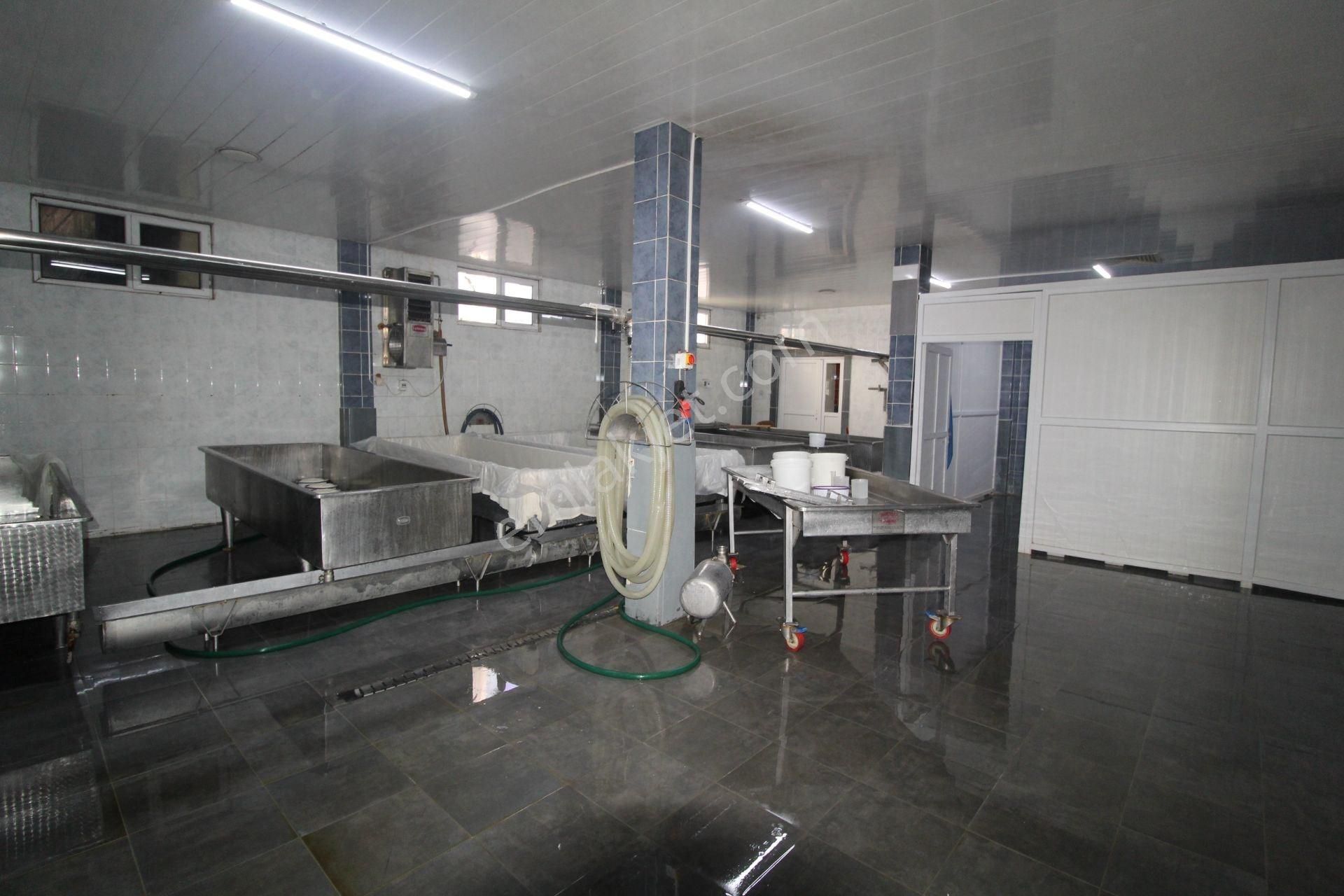 Bigadiç'de Satılık Süt Üretim Tesisi+benzinlik+fabrika - Görsel 15