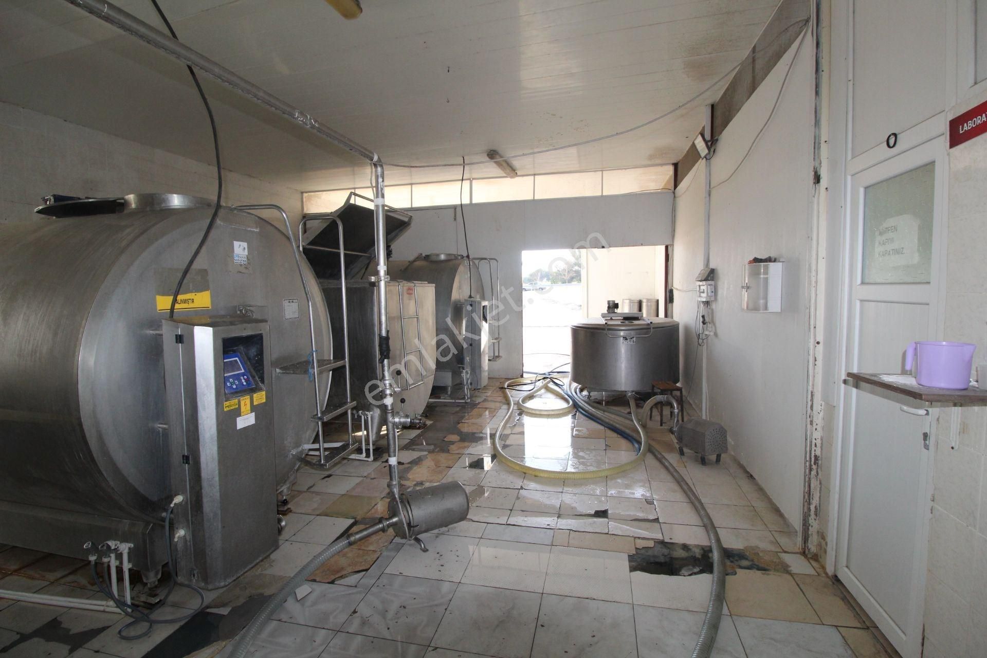 Bigadiç'de Satılık Süt Üretim Tesisi+benzinlik+fabrika - Görsel 12