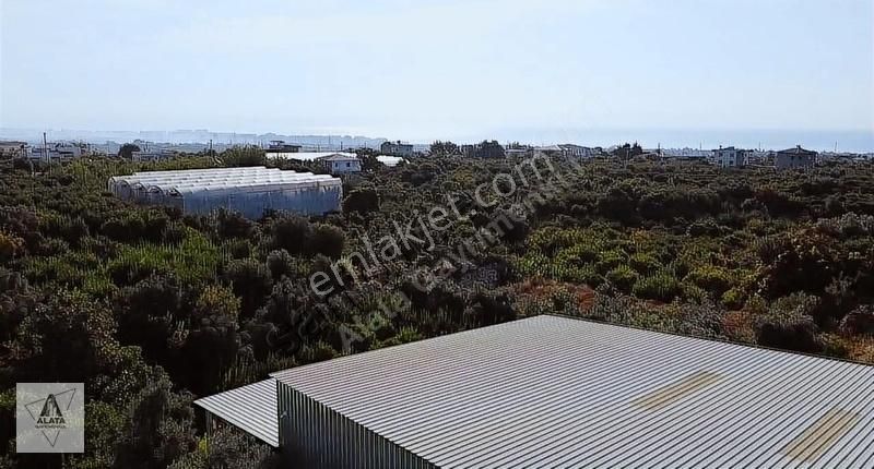 Denize 3.5 Km Bahçeli İki Katlı Müstakil - Görsel 4