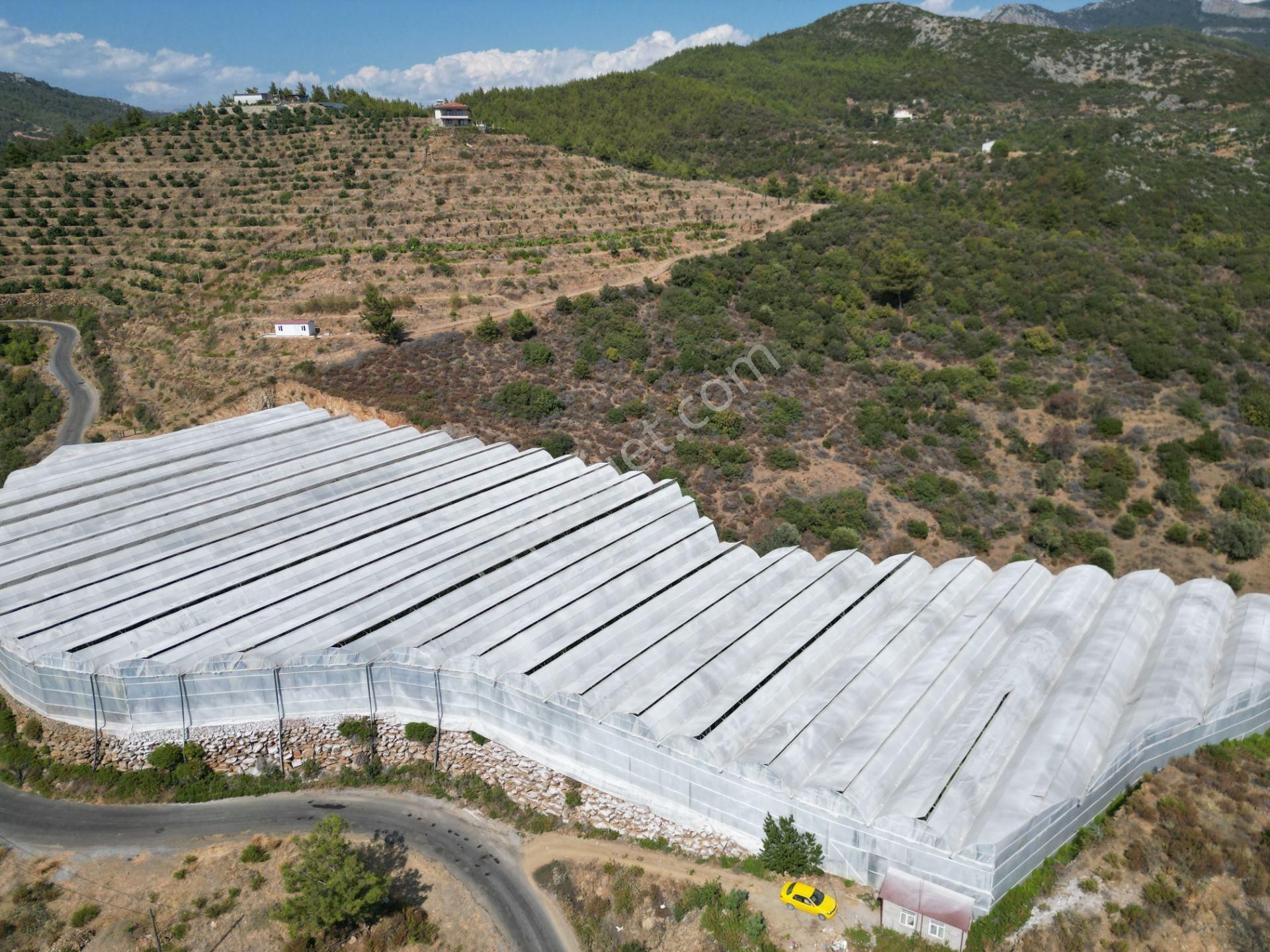 Alanya Gazipaşa’da Köy Yoluna Sıfır Konumda Satılık 9 Dönüm Kapalı Muz Serası - Görsel 10