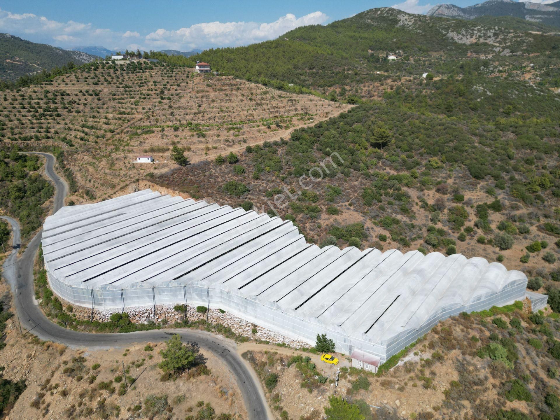 Alanya Gazipaşa’da Köy Yoluna Sıfır Konumda Satılık 9 Dönüm Kapalı Muz Serası - Görsel 9