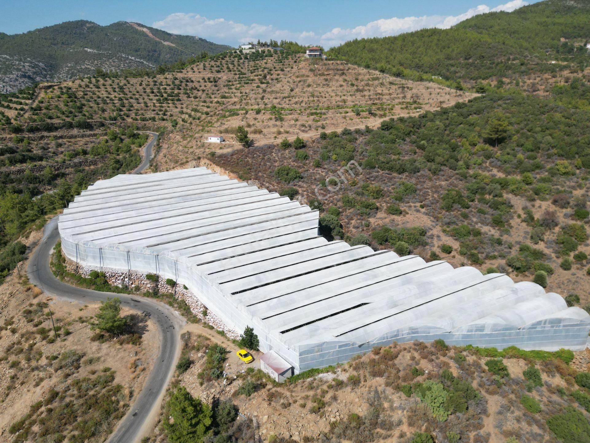 Alanya Gazipaşa’da Köy Yoluna Sıfır Konumda Satılık 9 Dönüm Kapalı Muz Serası - Görsel 11