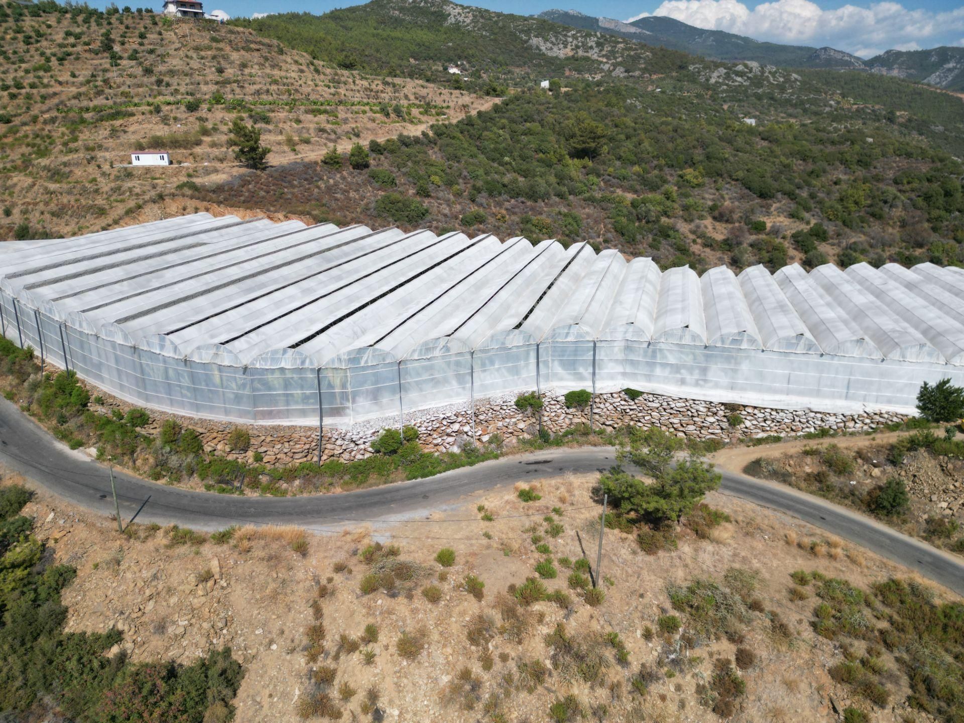 Alanya Gazipaşa’da Köy Yoluna Sıfır Konumda Satılık 9 Dönüm Kapalı Muz Serası - Görsel 7
