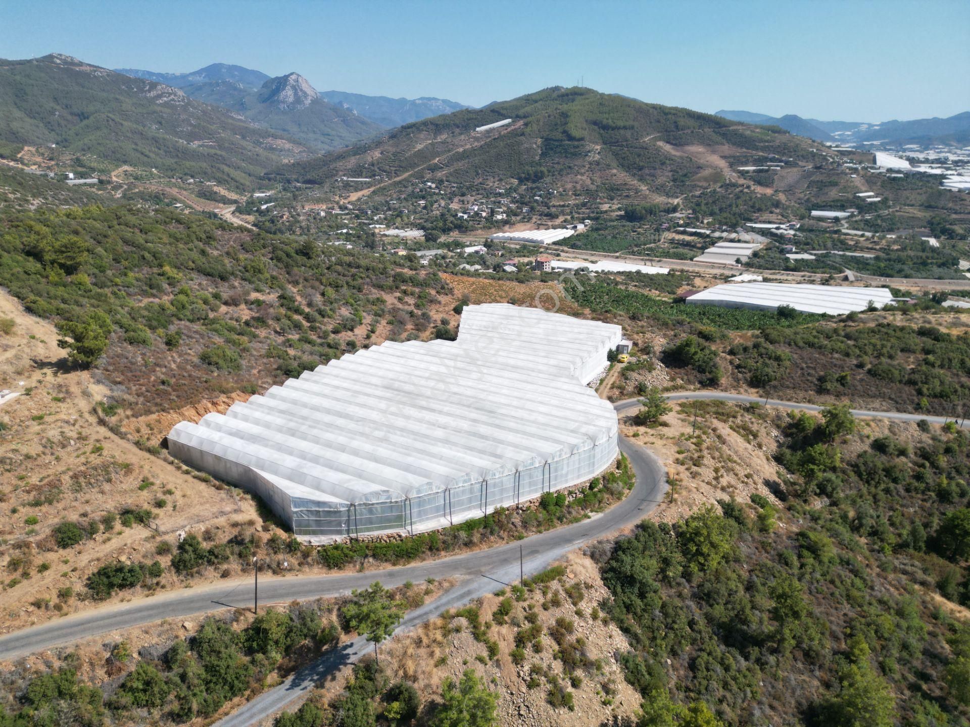 Alanya Gazipaşa’da Köy Yoluna Sıfır Konumda Satılık 9 Dönüm Kapalı Muz Serası - Görsel 2