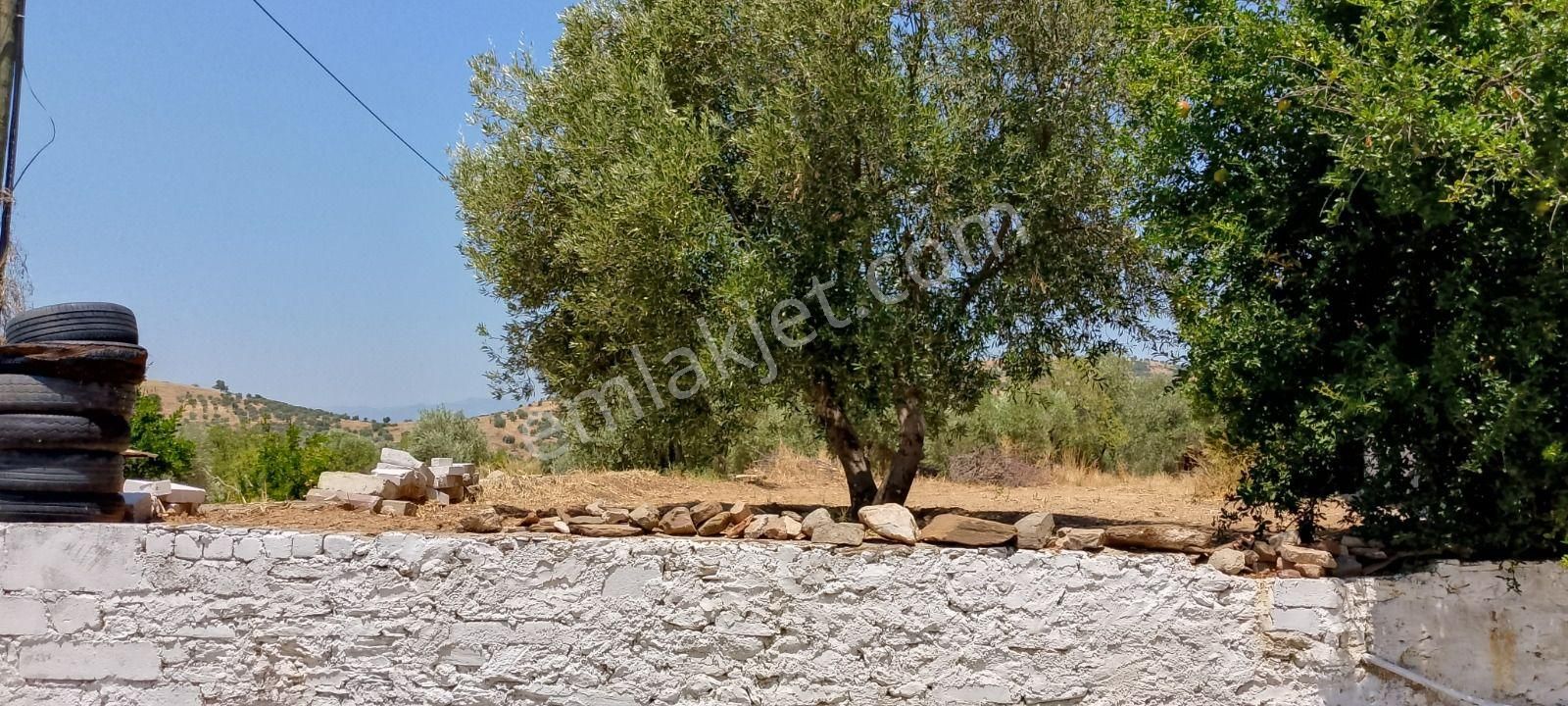 Uzunçam Mah De Satılık Bahçeli Müstakil Ev - Görsel 22