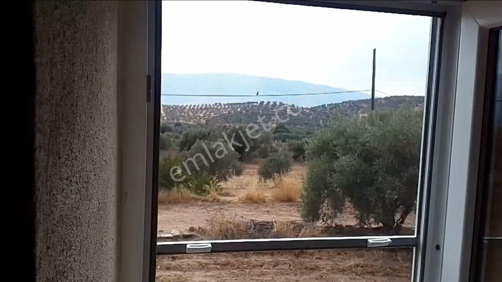 Uzunçam Mah De Satılık Bahçeli Müstakil Ev - Görsel 18